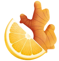 GINGEMBRE CITRON · IMMUNITÉ