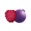FUSION FRUITS ROUGES