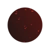 COLA
