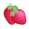 FRAISE RECHARGE