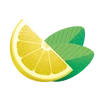 CITRON-MENTHE RECHARGE