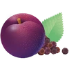 PRUNE ÉPICÉE · IMMUNITÉ