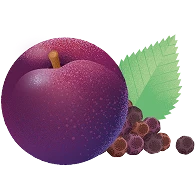 PRUNE ÉPICÉE · IMMUNITÉ